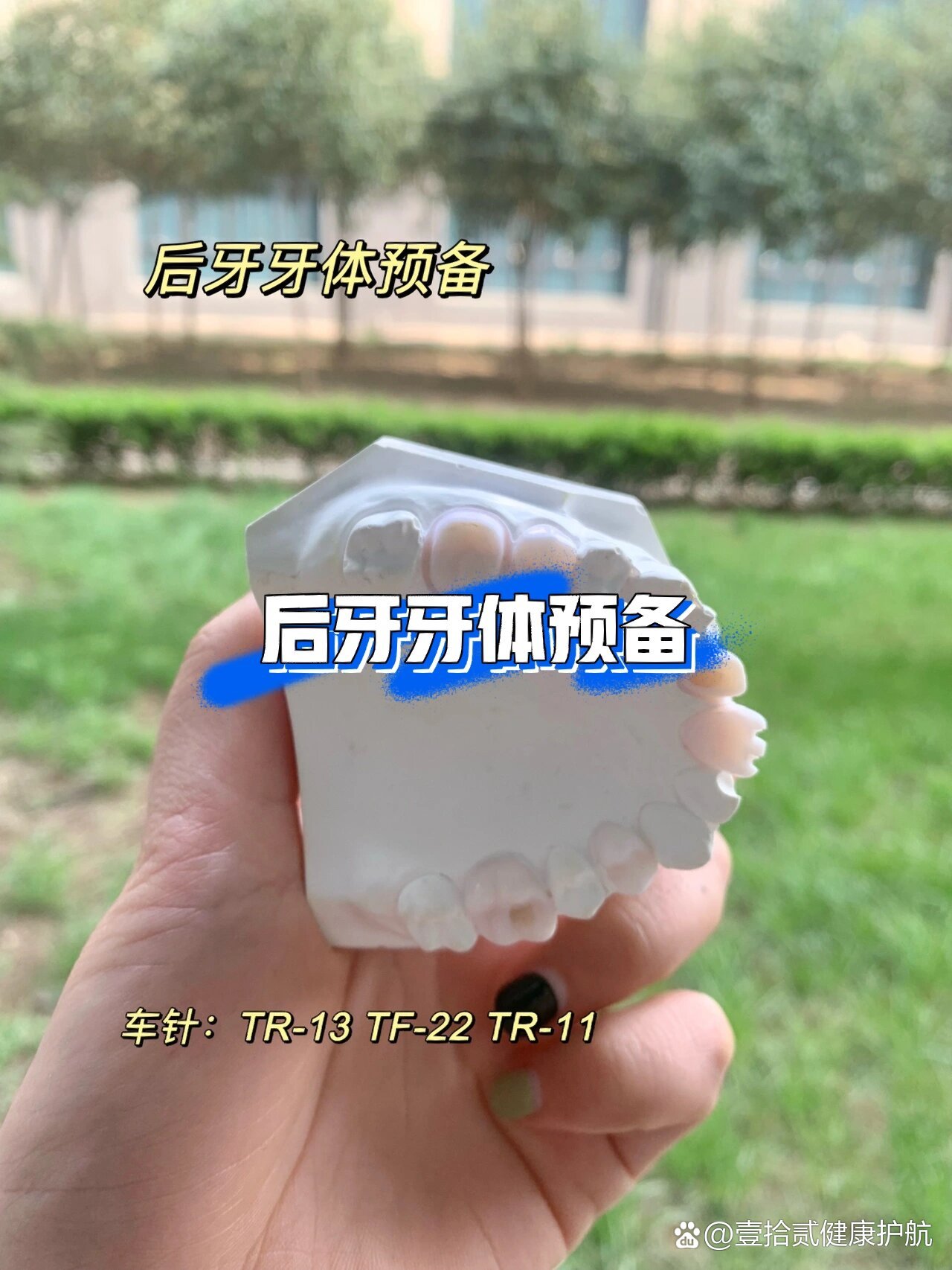 后牙牙体预备