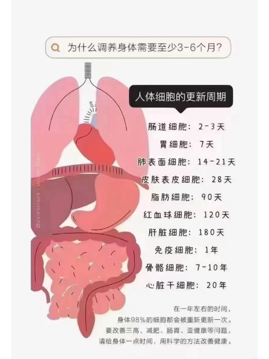 胃泌素三角图片