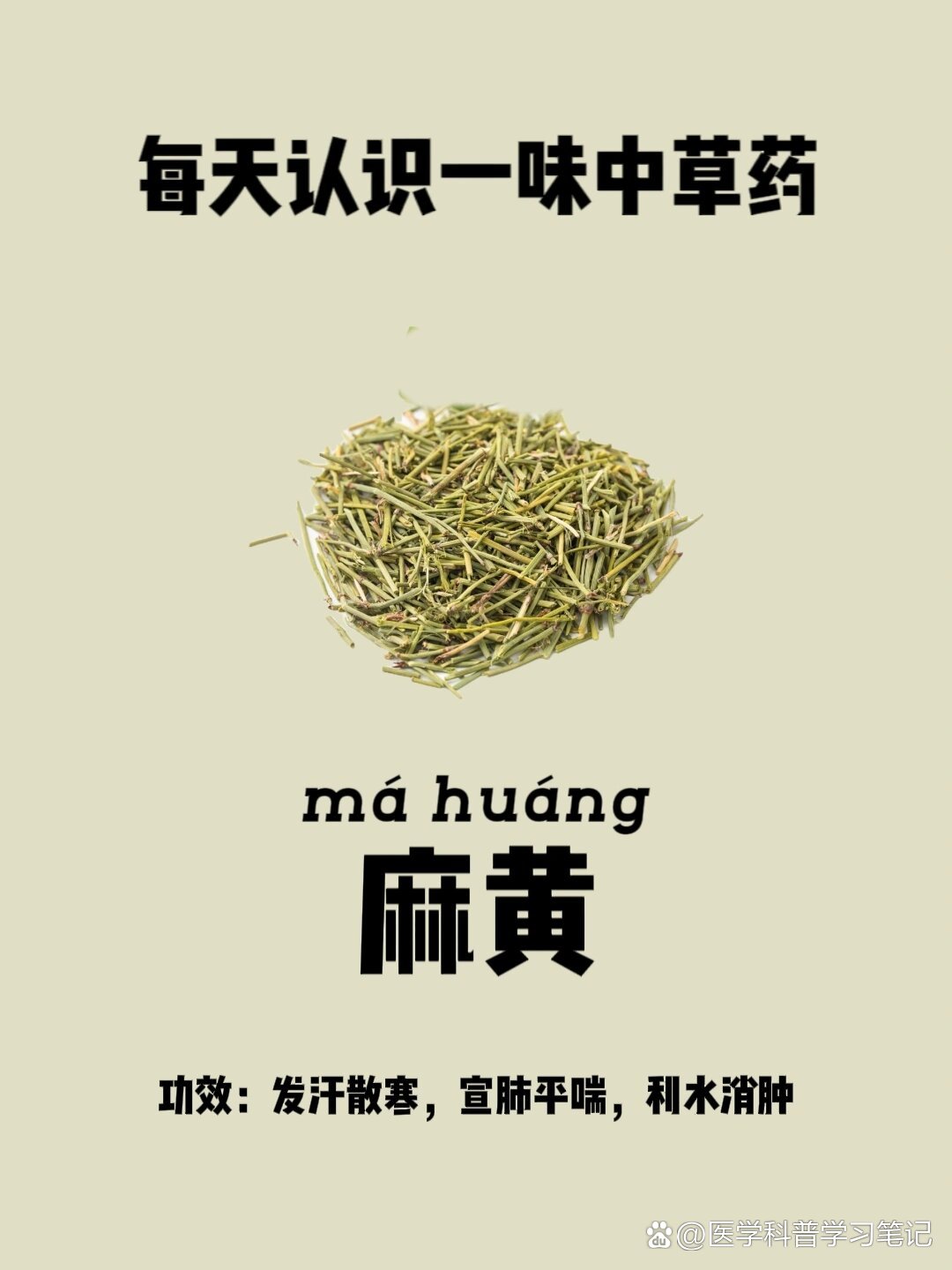 麻黄草的功效与作用图片