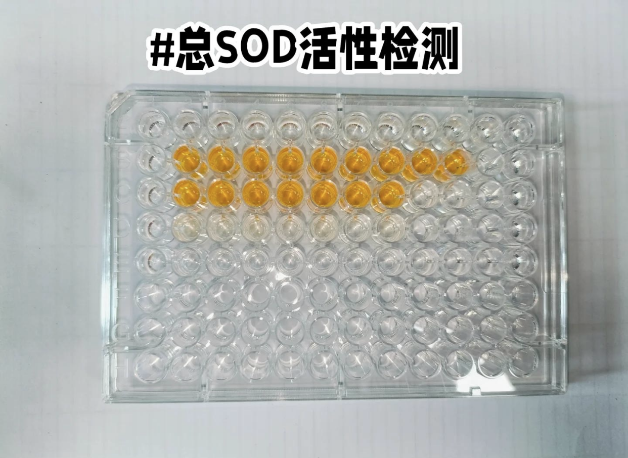 SOD活性检测抑制率低？