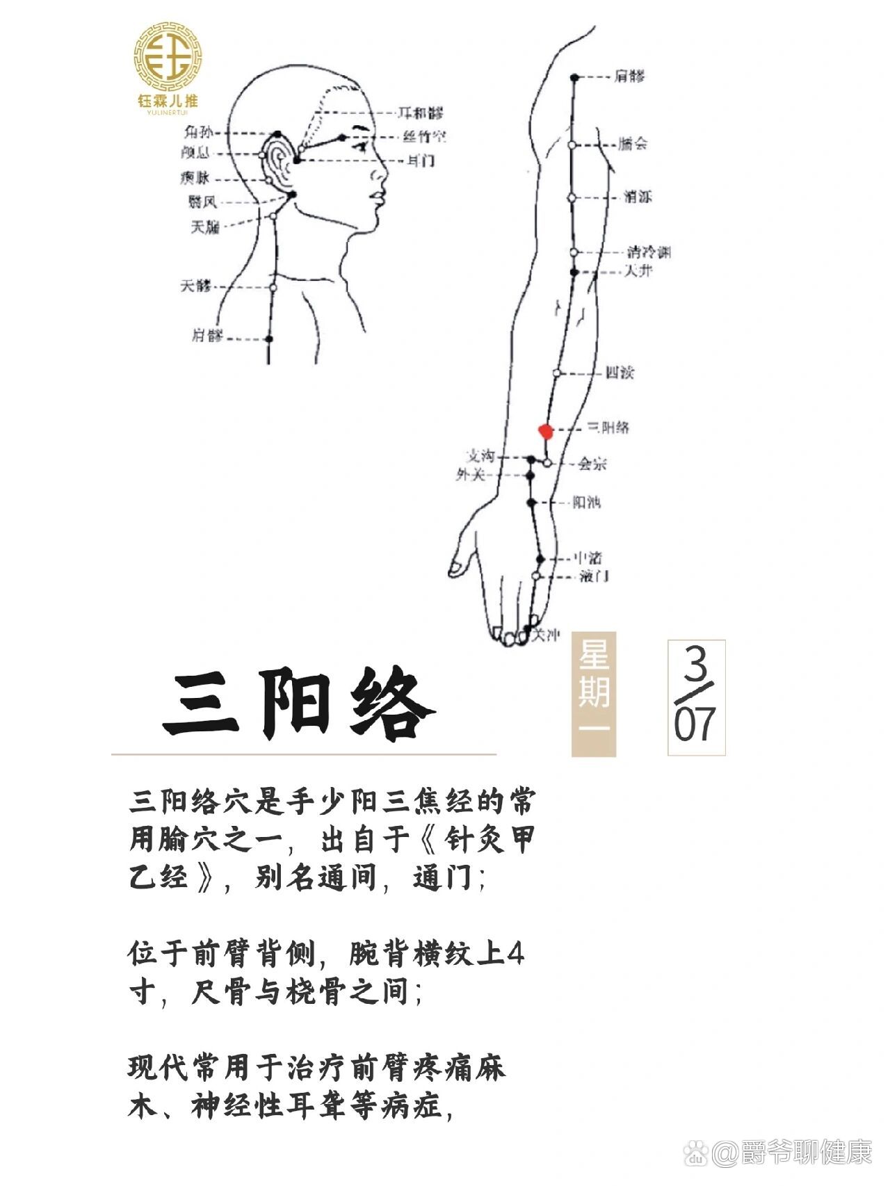 手臂弯寸关图片图片