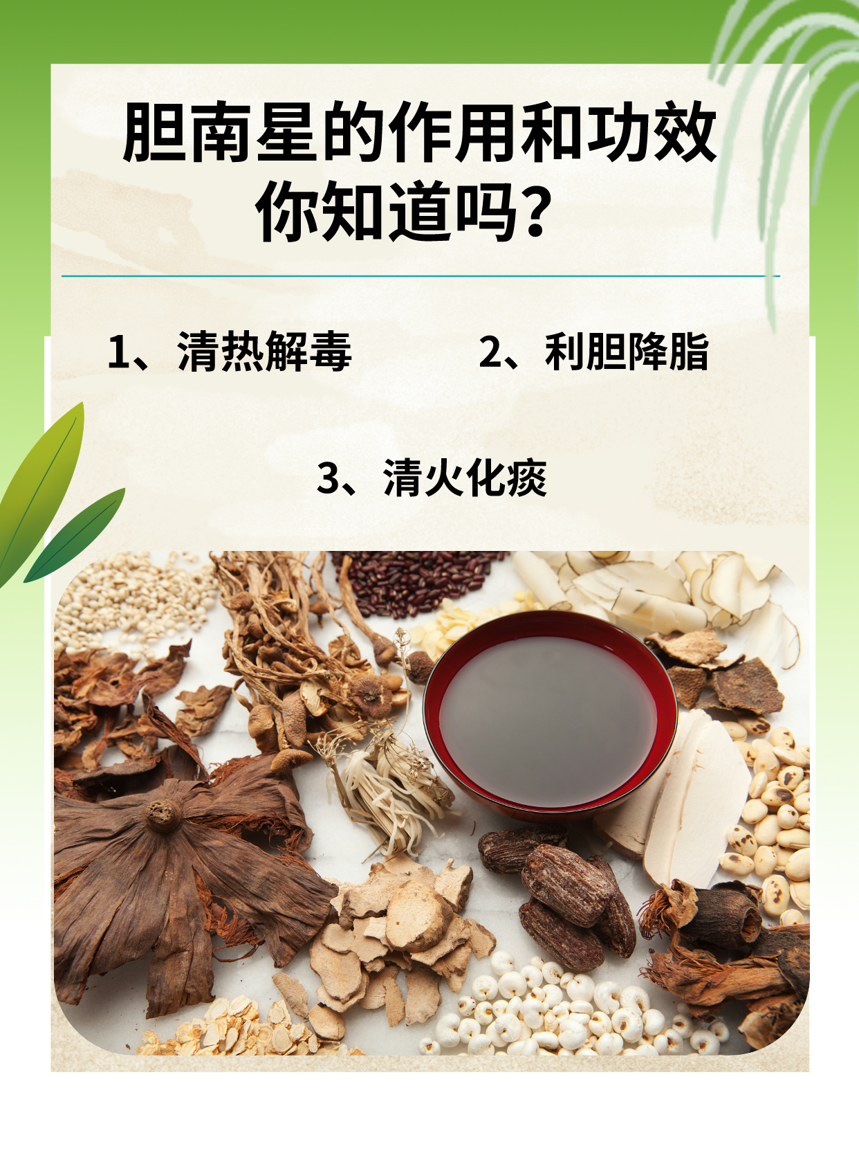 胆南星的作用和功效你知道吗?