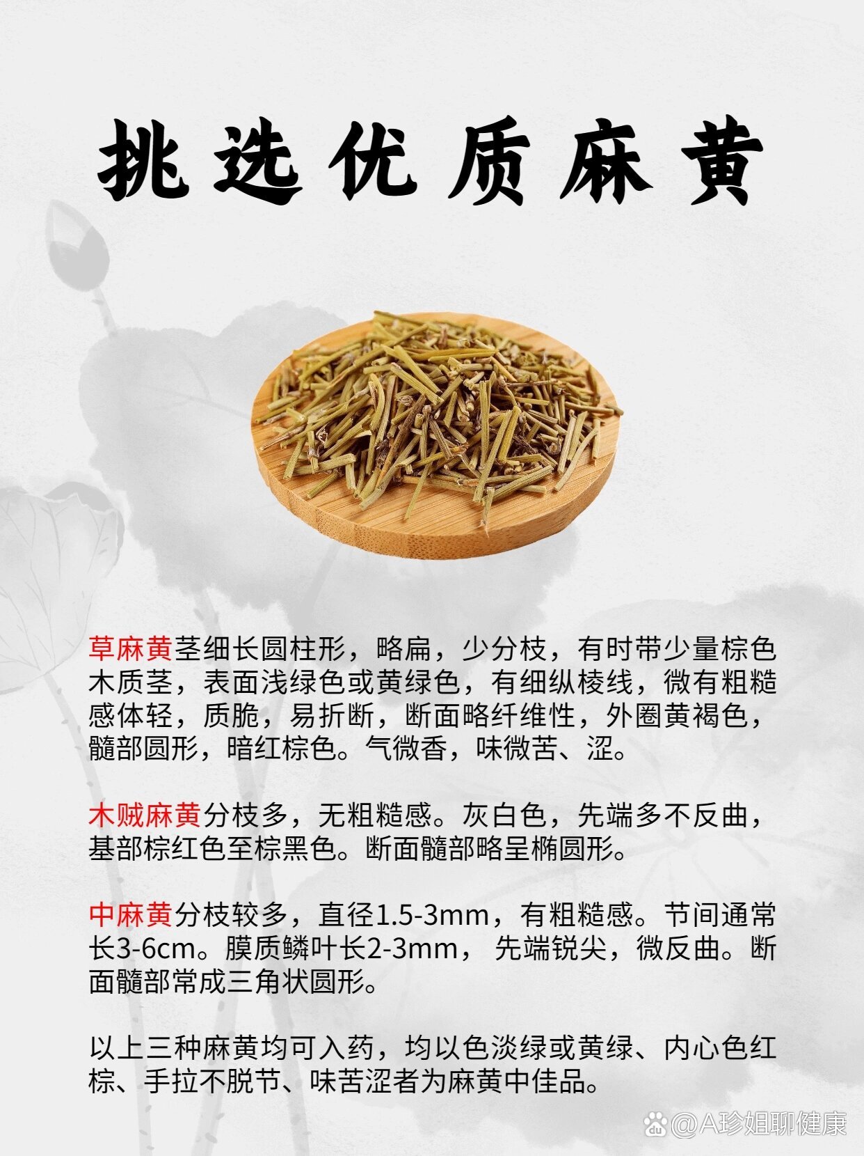 每天认识一味药【麻黄】炙麻黄