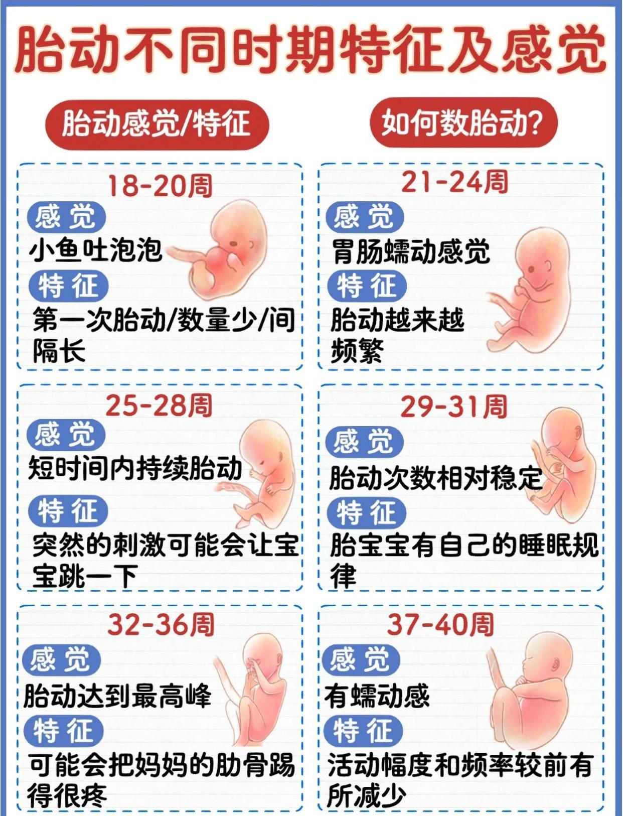胎动特征与感觉一图读懂