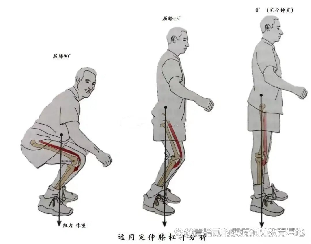 屈膝45度图片图片