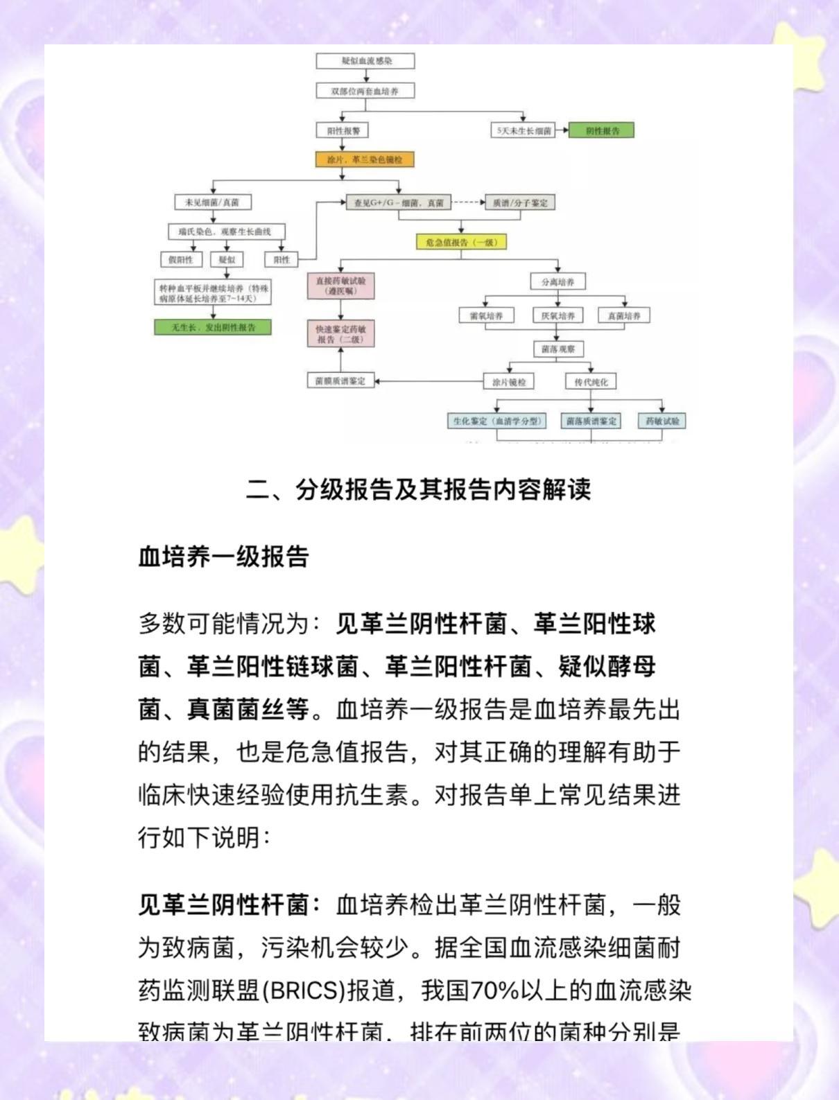 🩸血培养报告全解析：流程与解读指南🔍