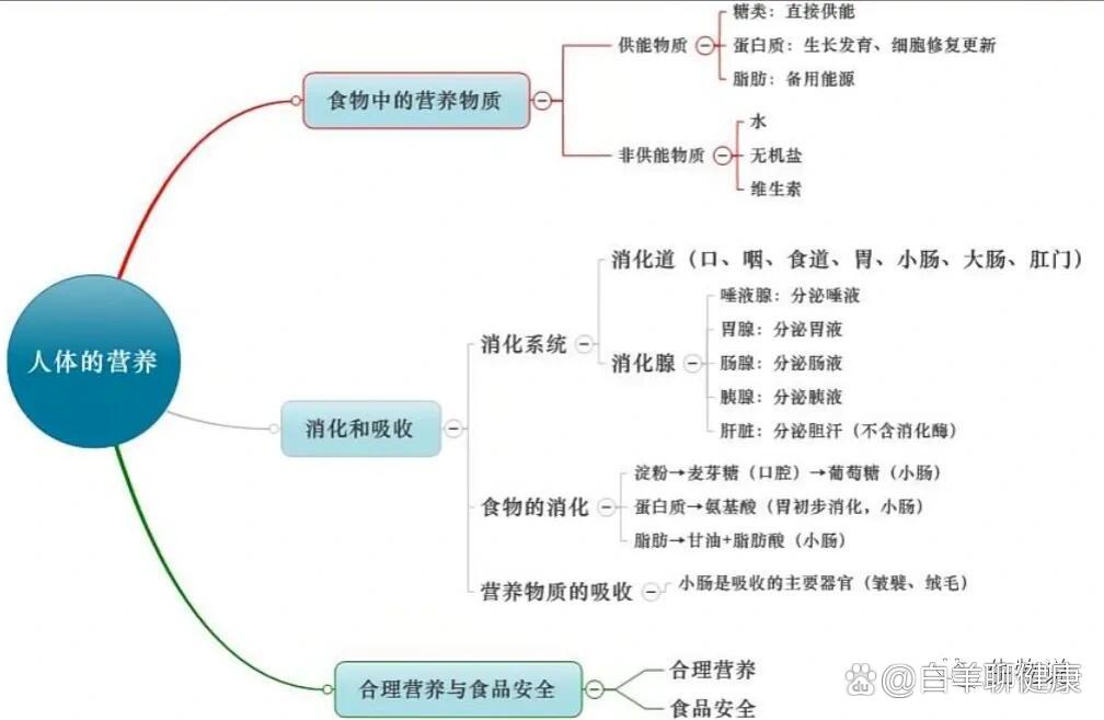 人体的六大营养物质图片