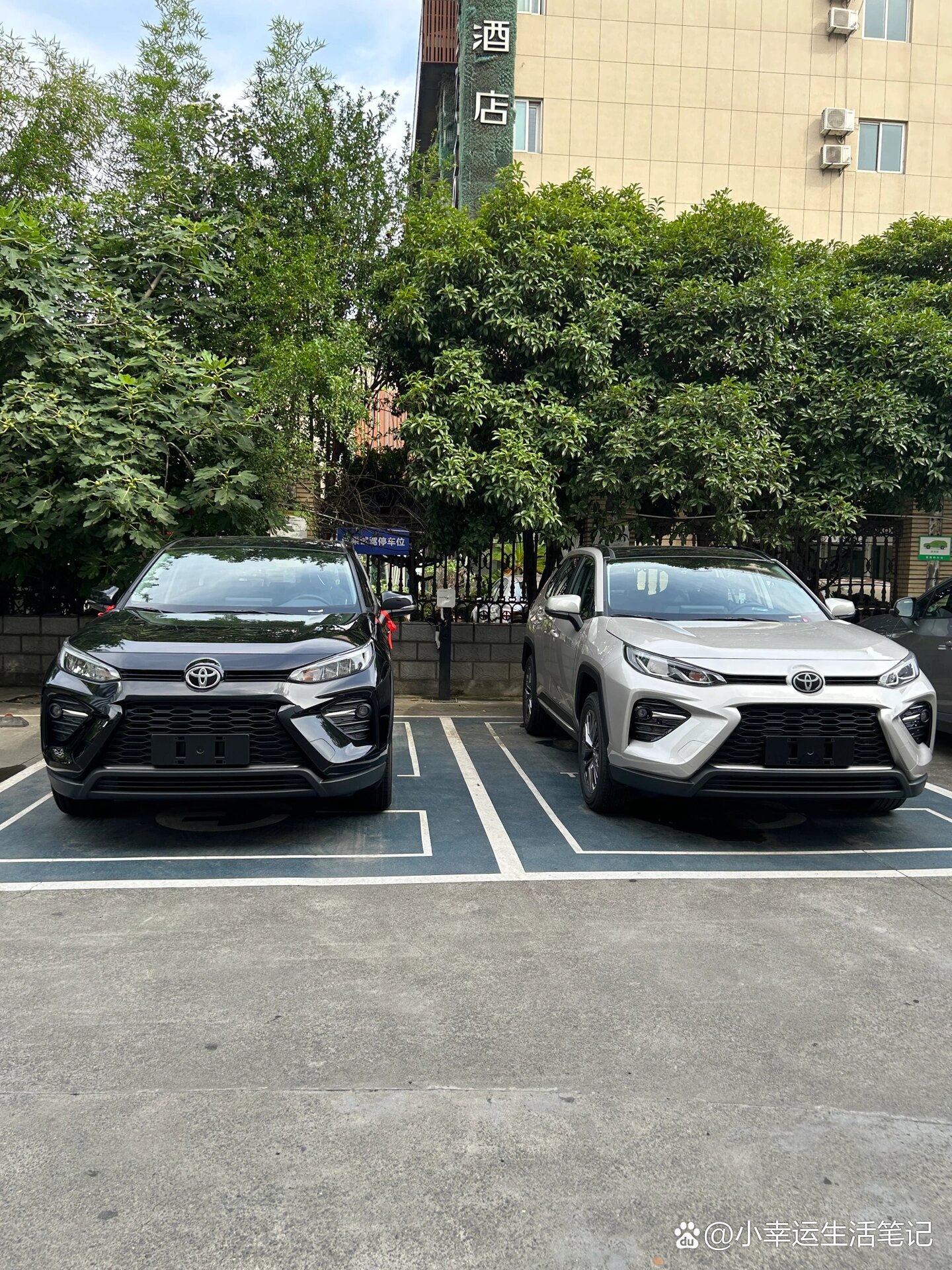 双色合体威兰达,你喜欢哪个颜色?