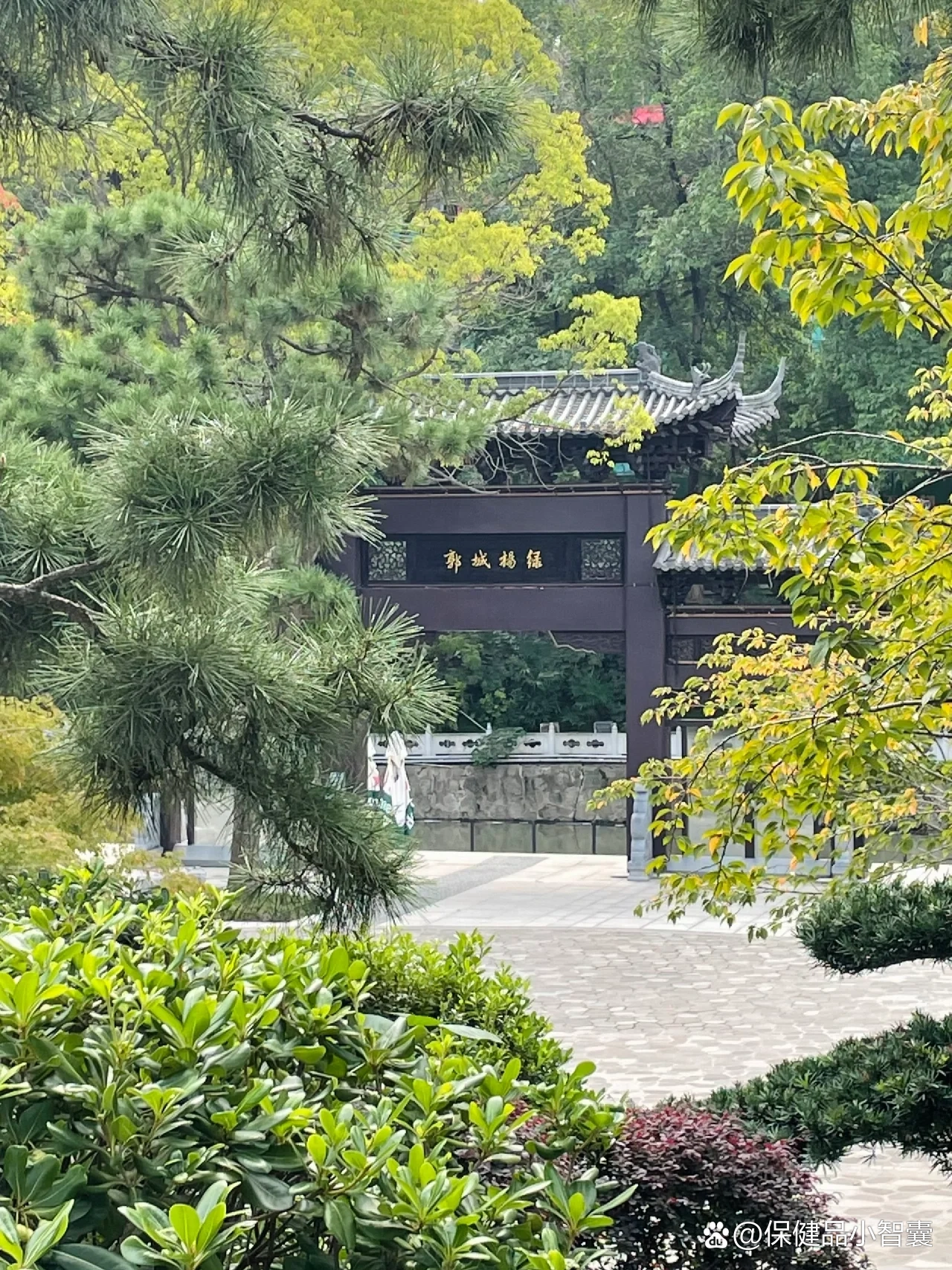  br>去年探访过这个园林建筑式商业综合体,喝了老虎山咖啡,这次发现