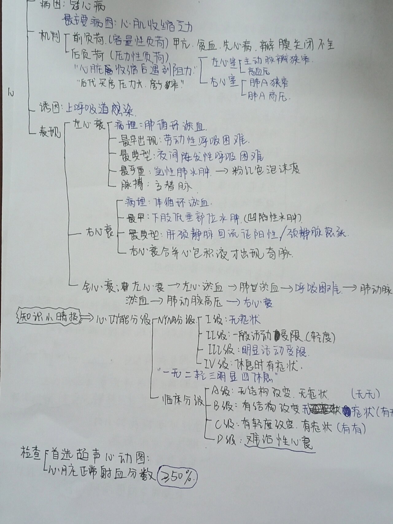 心力衰竭的思维导图