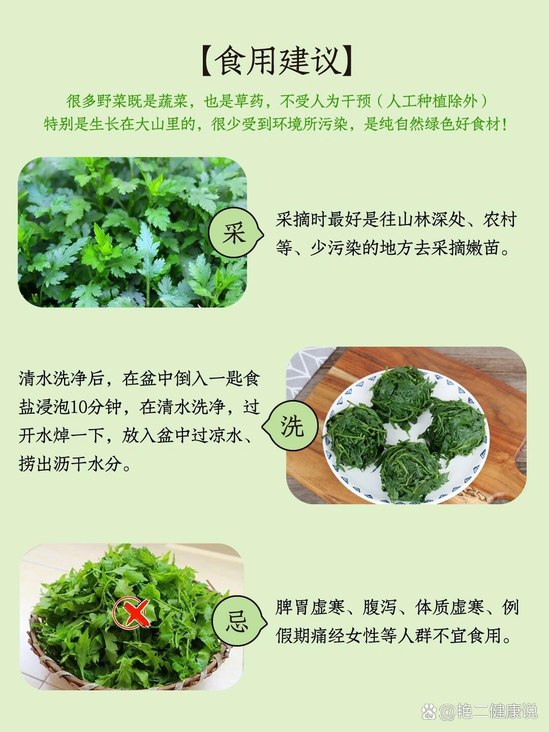 024|菊花脑凉爽清口