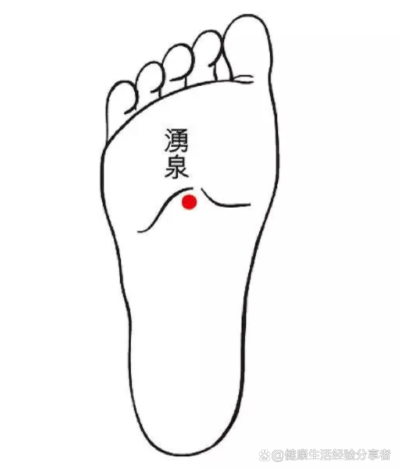 每天认识一穴位96涌泉穴98补肾固元