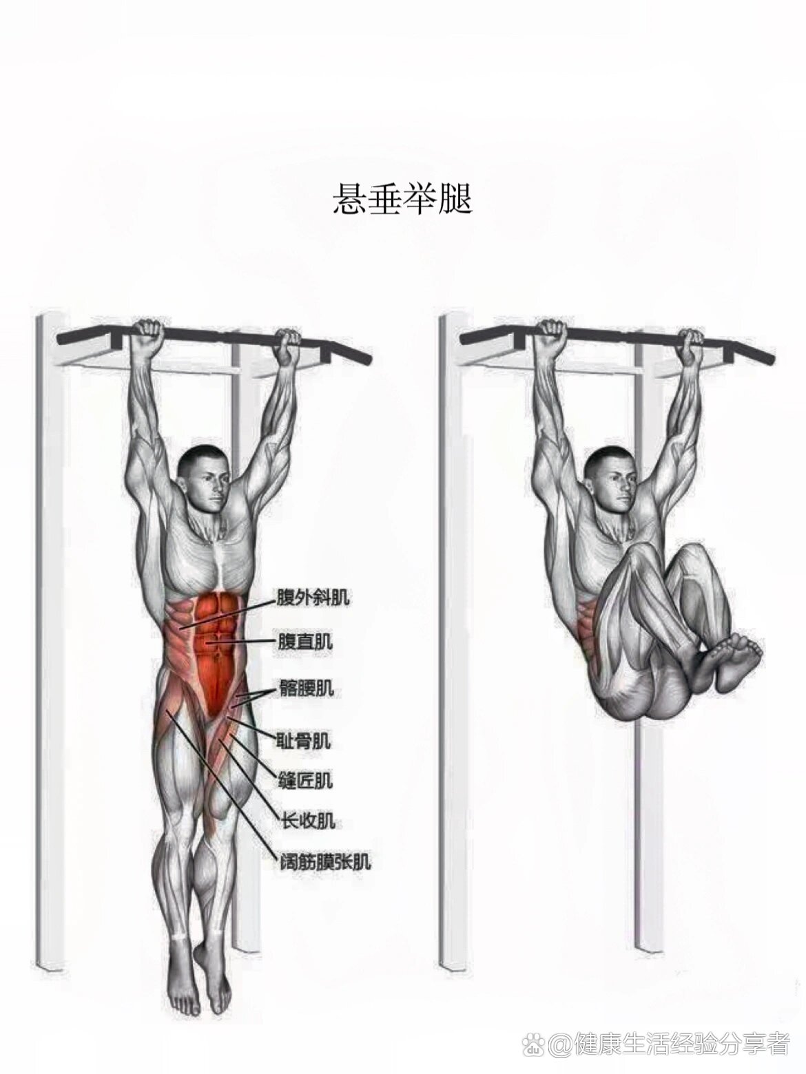 tabata腿部训练图片