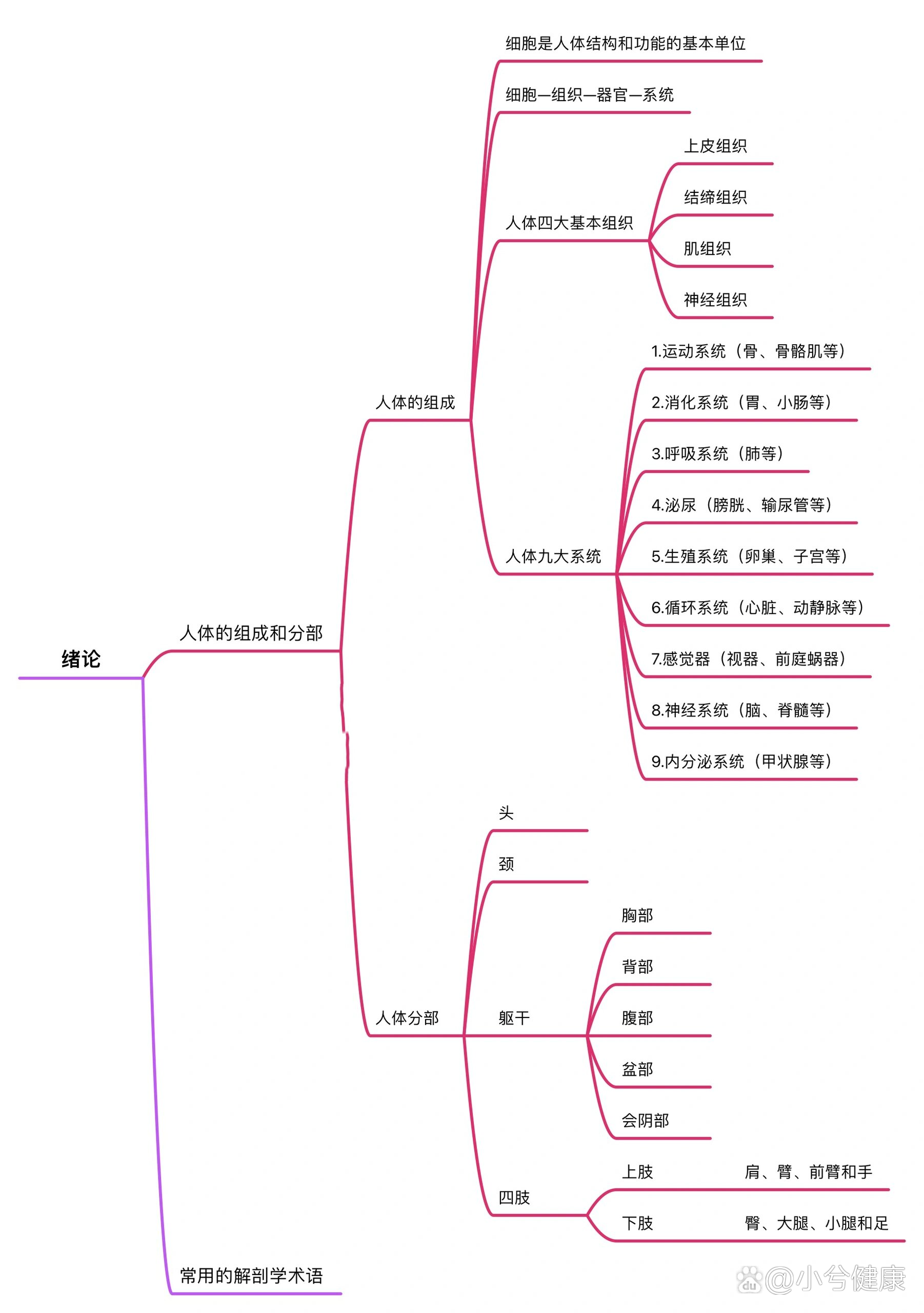 乳房检查思维导图图片