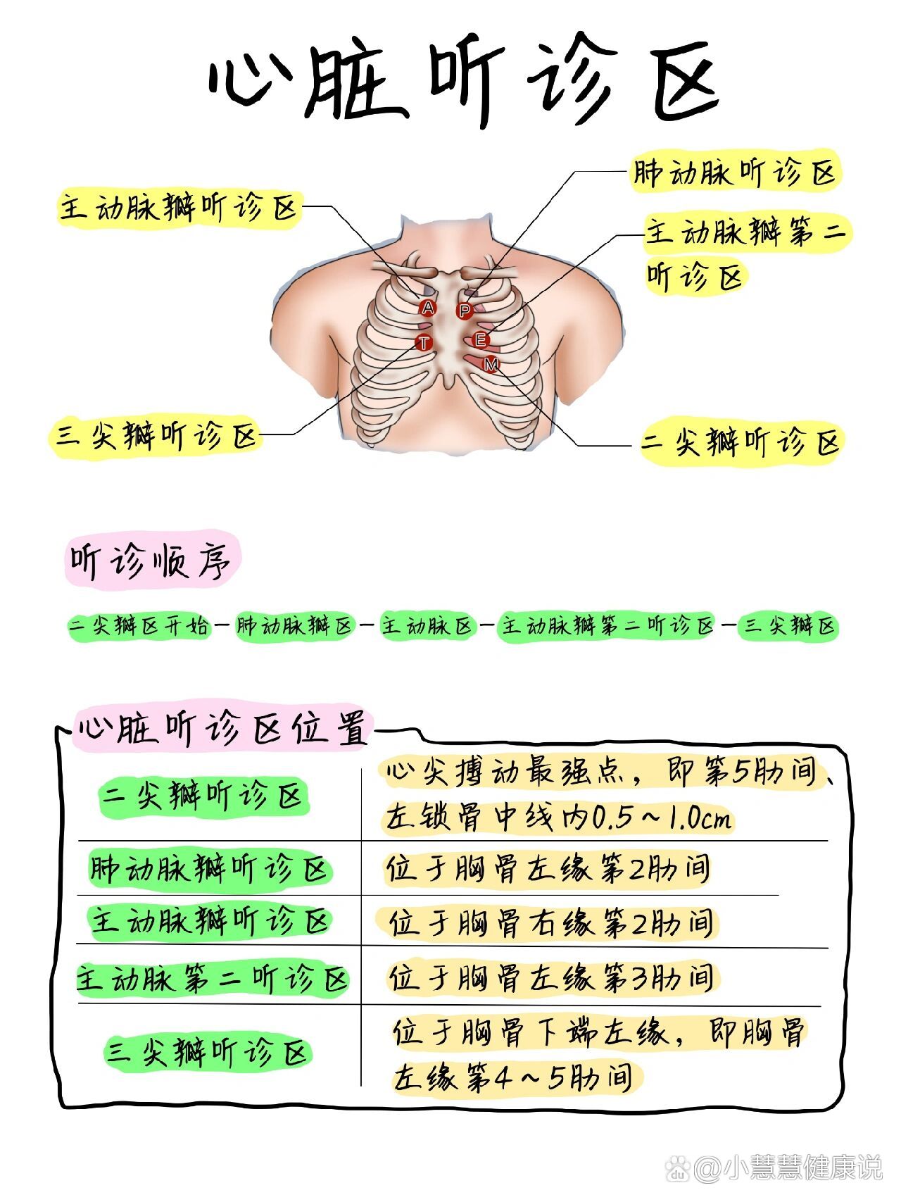 心脏叩诊三线图图片