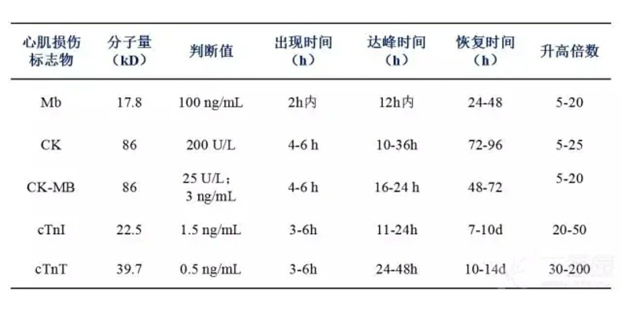 心肌酶谱ast图片