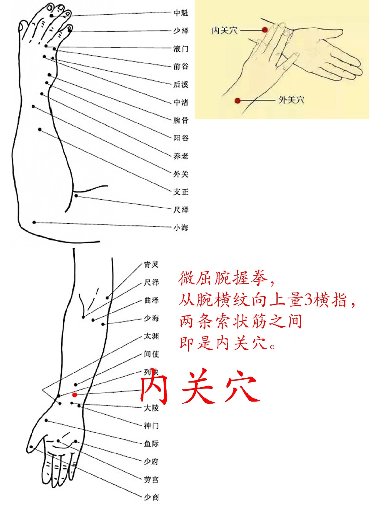 内关准确位置图和功效图片