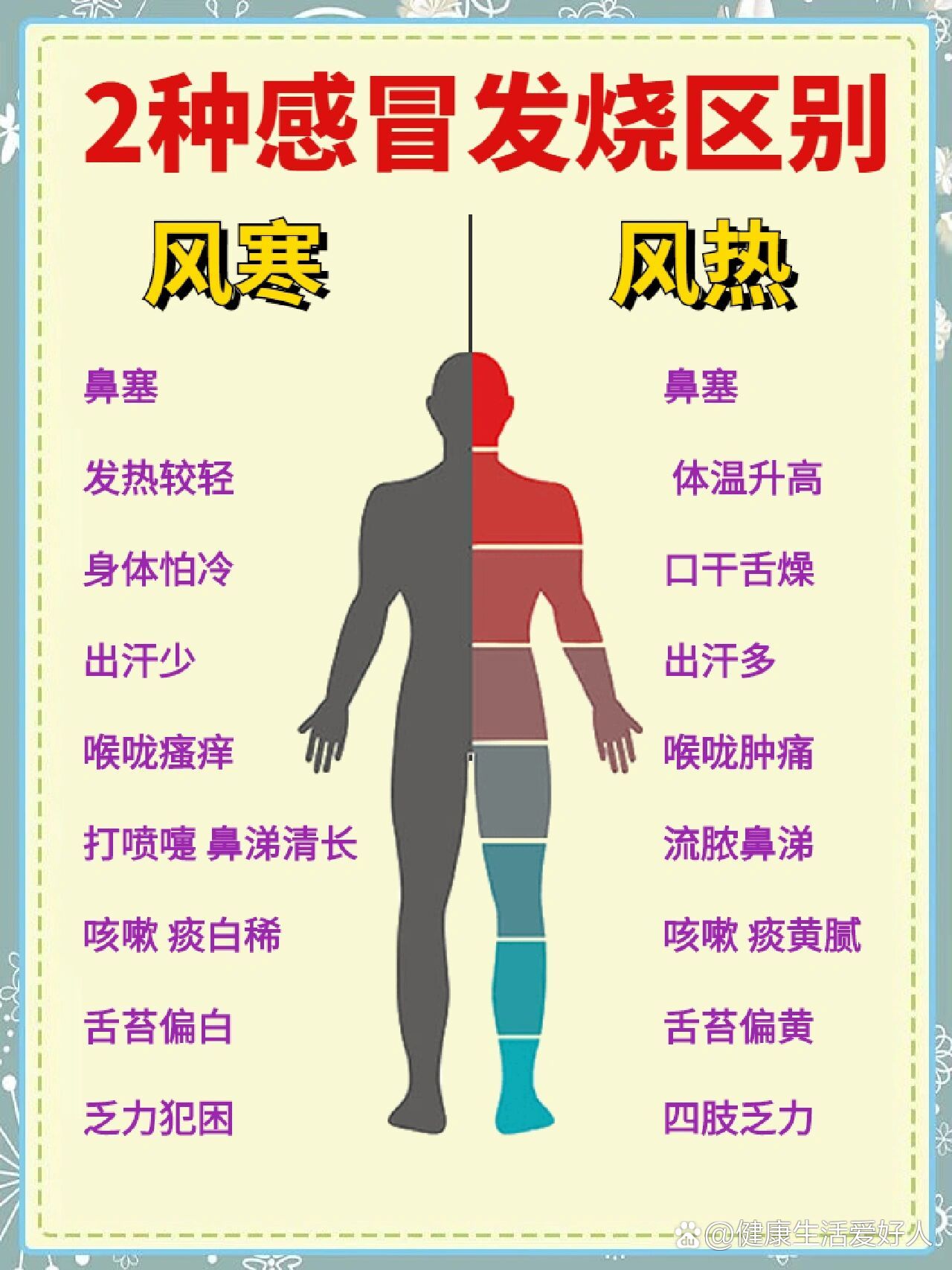 一张图分辨风寒vs风热图片