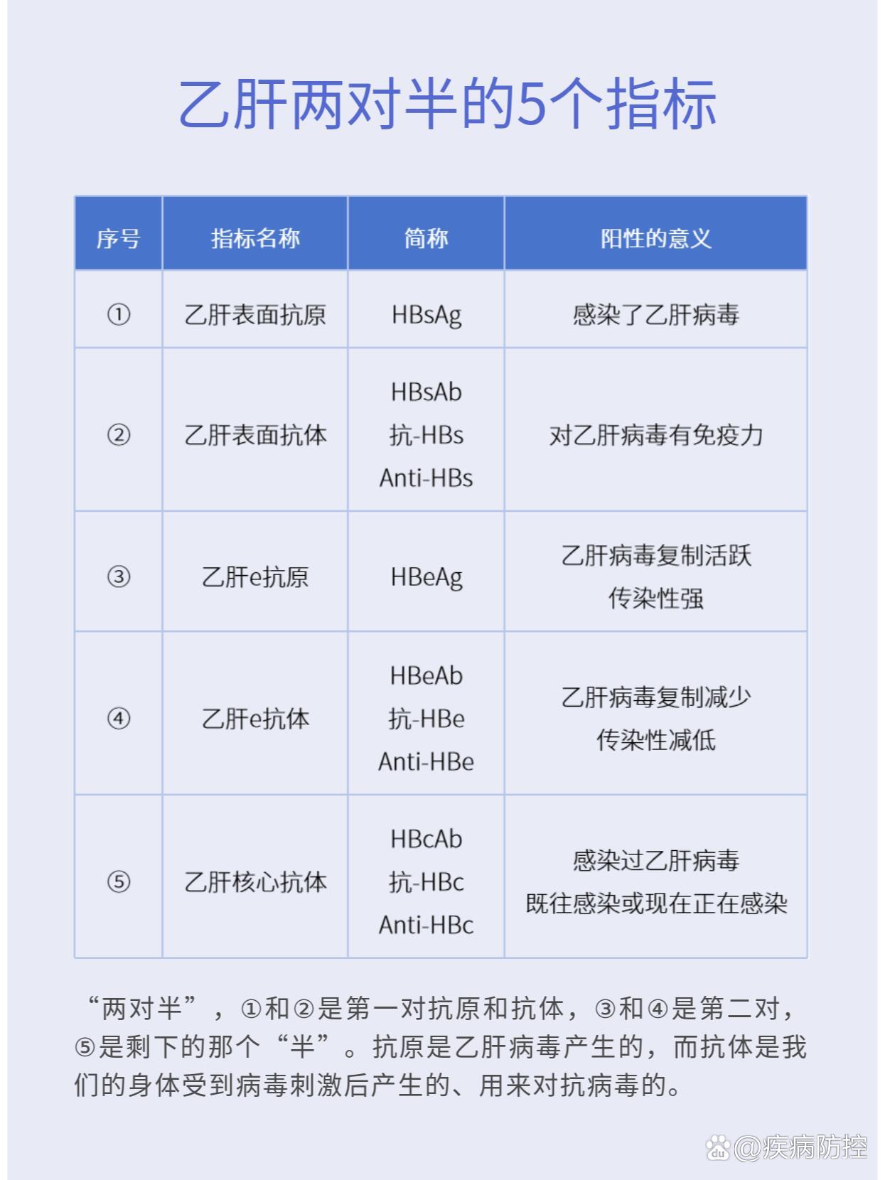 乙肝五项对照表图片