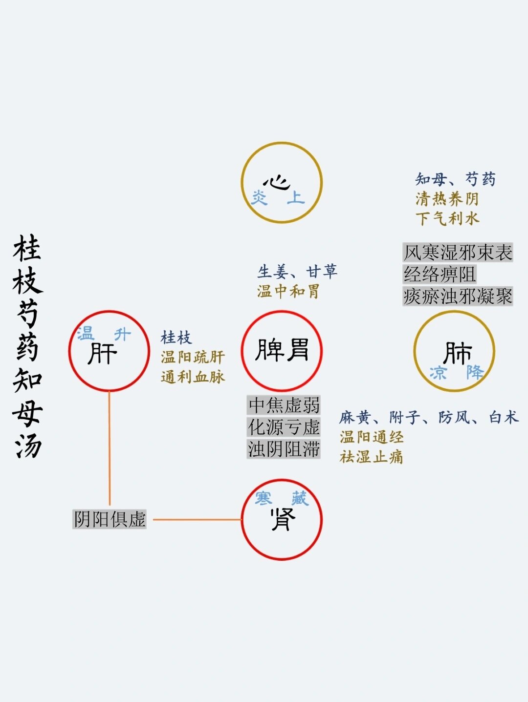 桂枝芍药知母汤