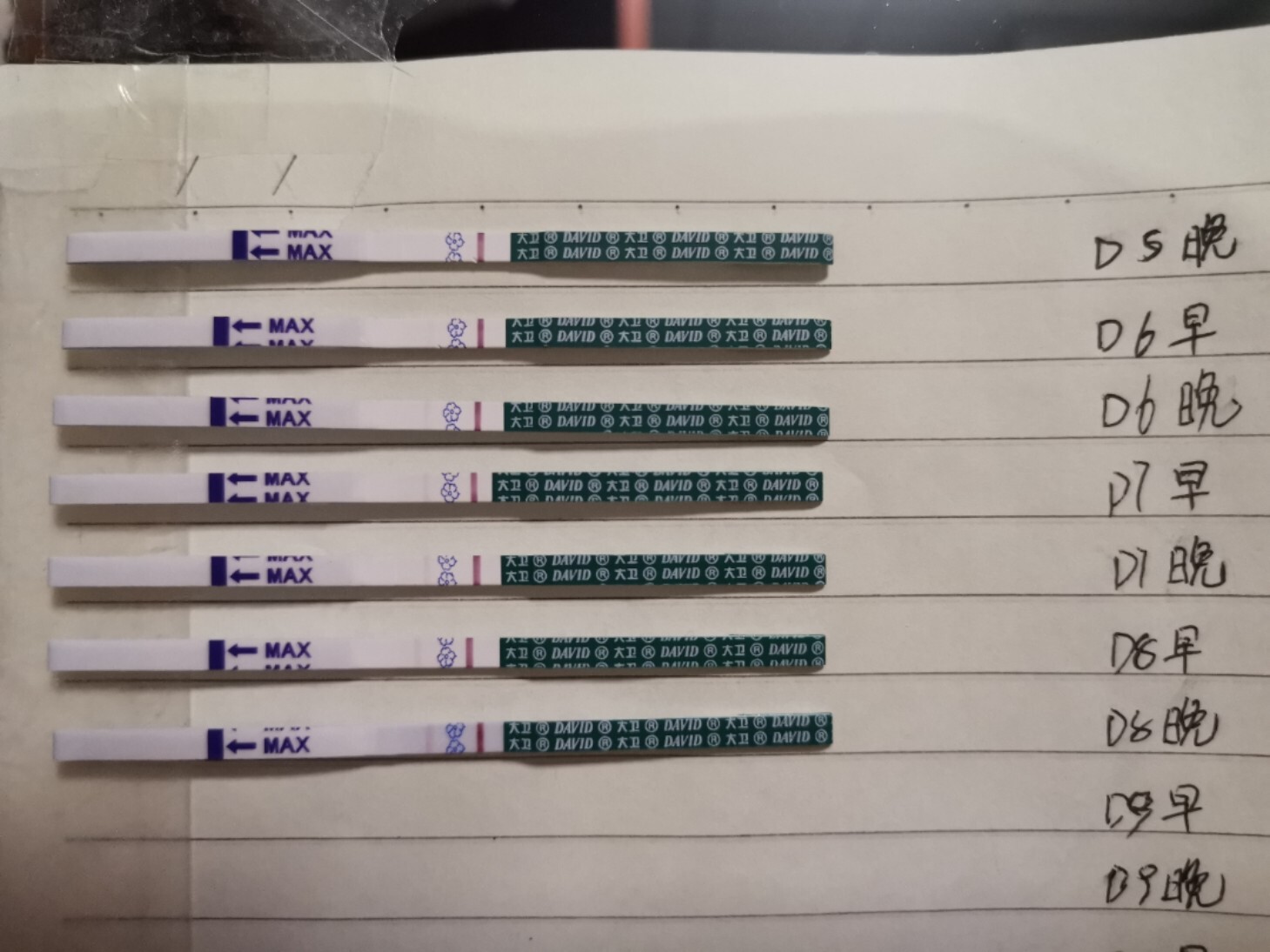 移植第八天胚胎发育图图片