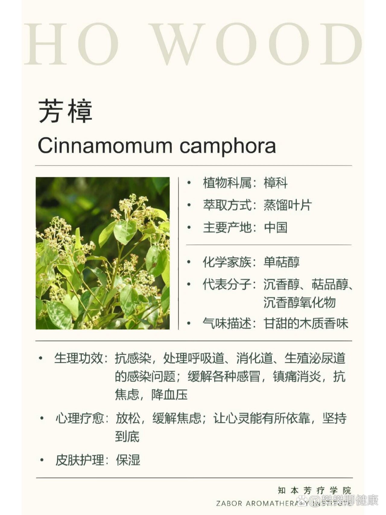 单方精油—芳樟精油