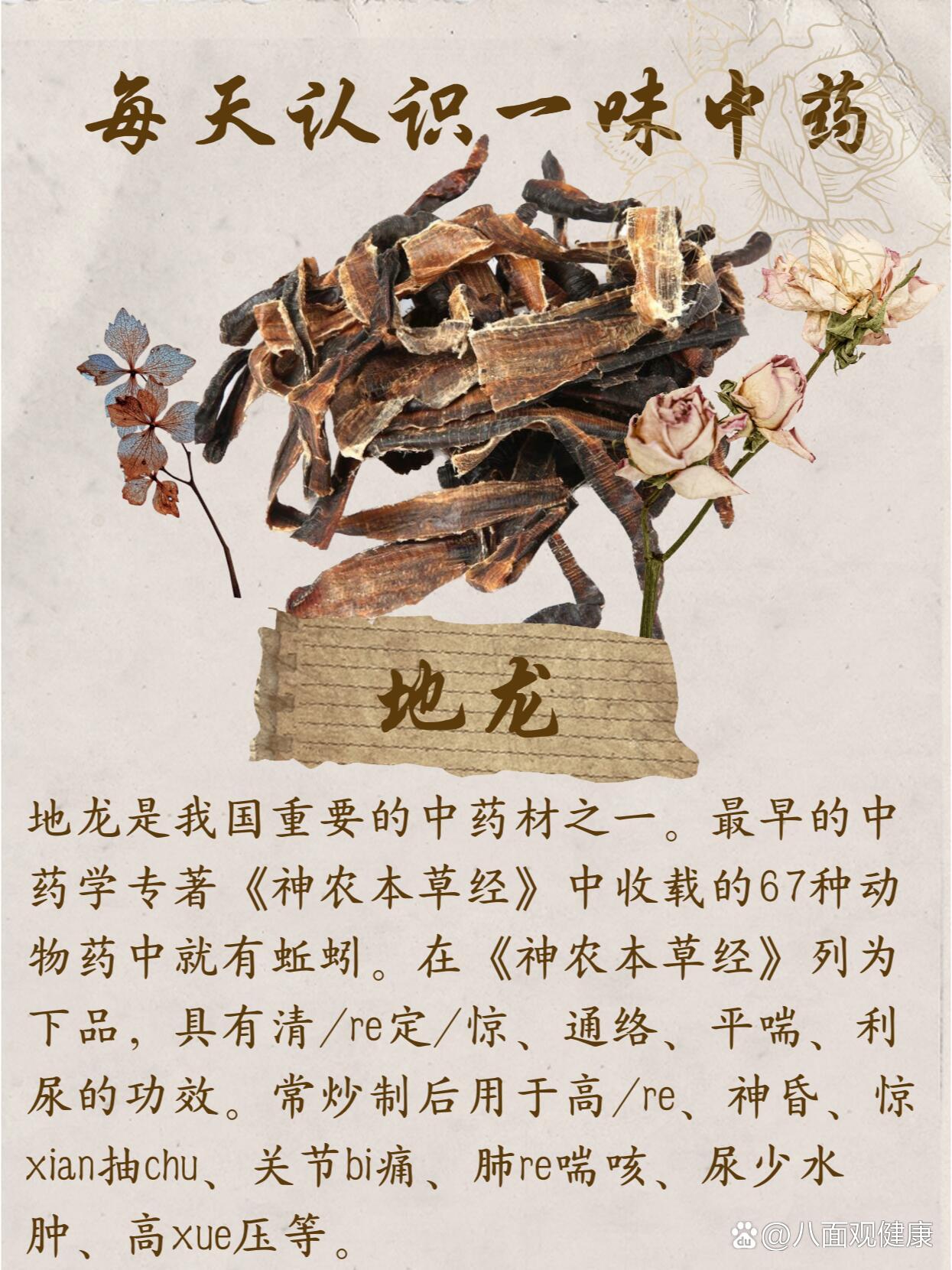 每天认识一味中药