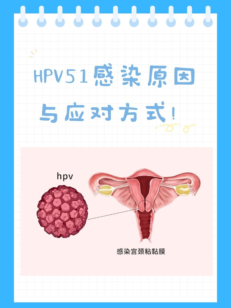 hpv感染原因图片