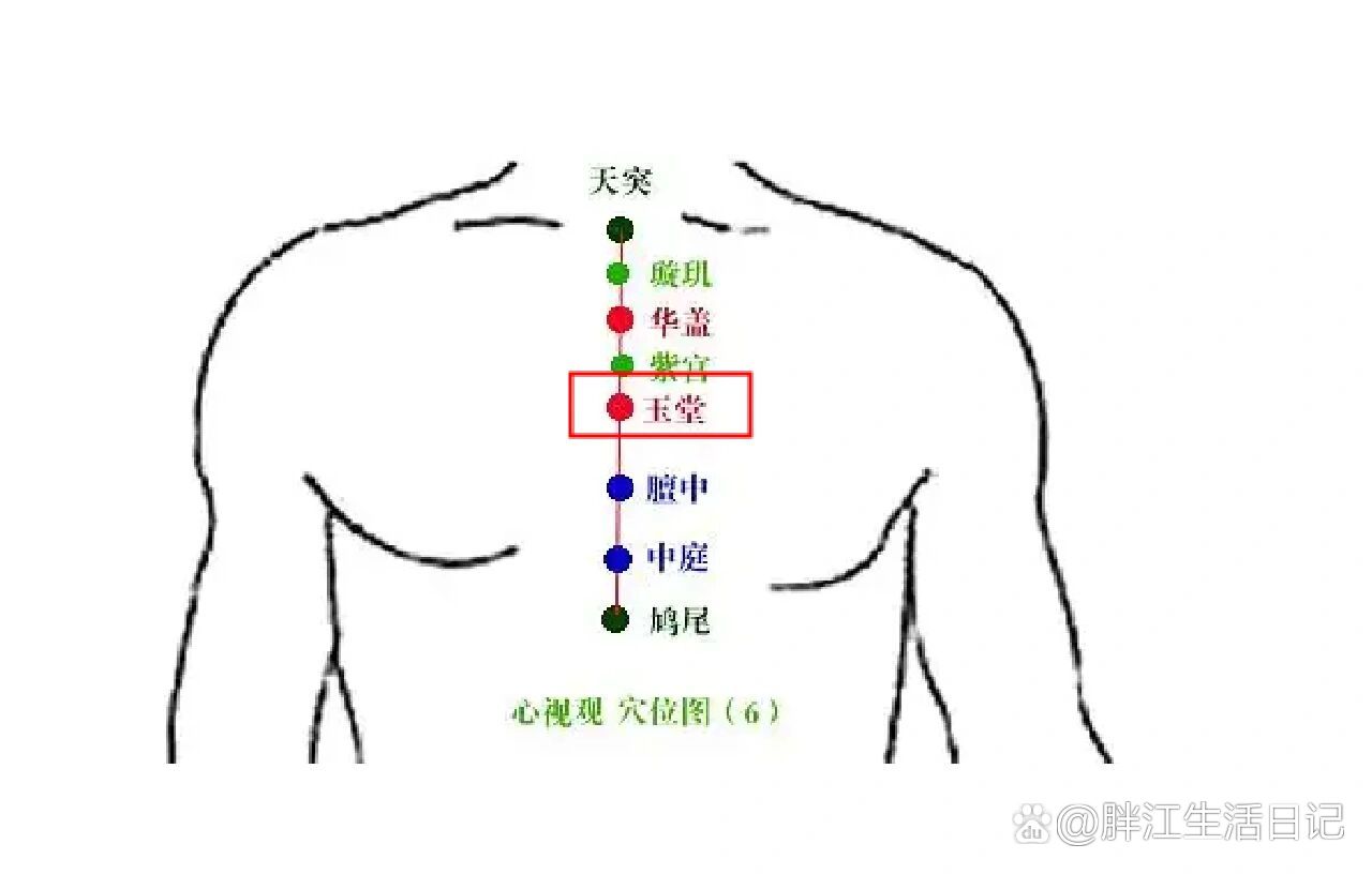 每天认识一穴位98玉堂穴73止咳化痰利咽