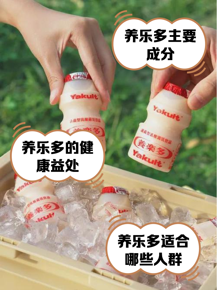 养乐多成分