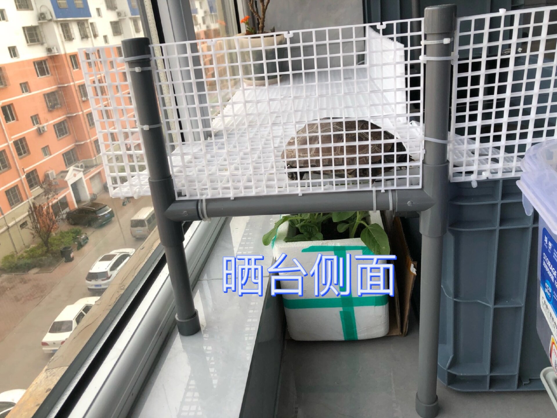 自制周转箱龟缸教程来咯