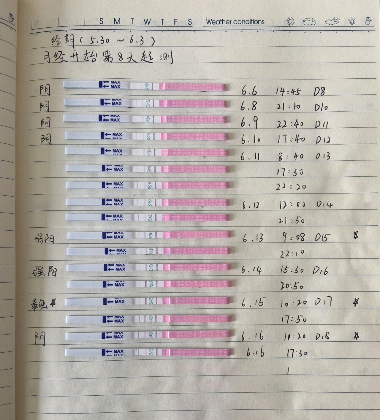 怀孕后排卵试纸变化图图片