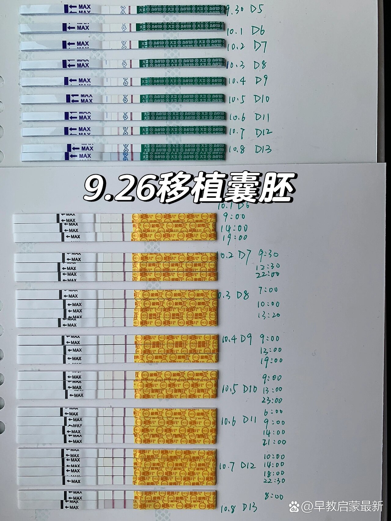 囊胚移植后生化了有什么感觉_囊胚移植成功后生化会流血吗