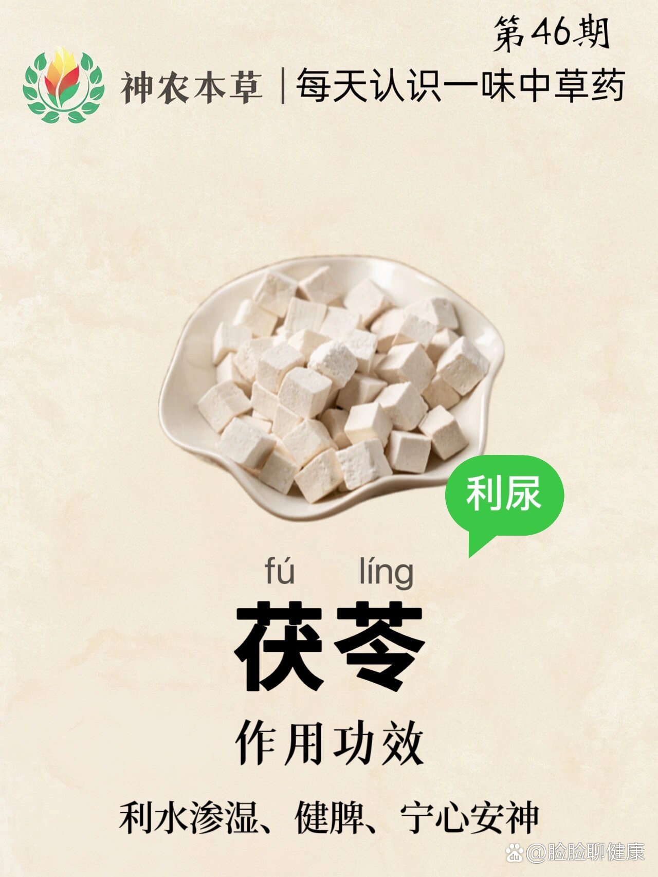 茯苓归经图片