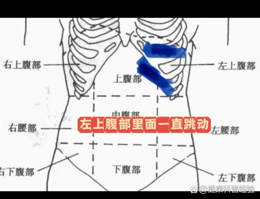 女小腹摁压疼挂什么科（女生小腹按压痛挂什么科） 女小腹摁压疼挂什么科（女生小腹按压痛挂什么科）《女生小腹按压疼痛做什么检查》 女科知识