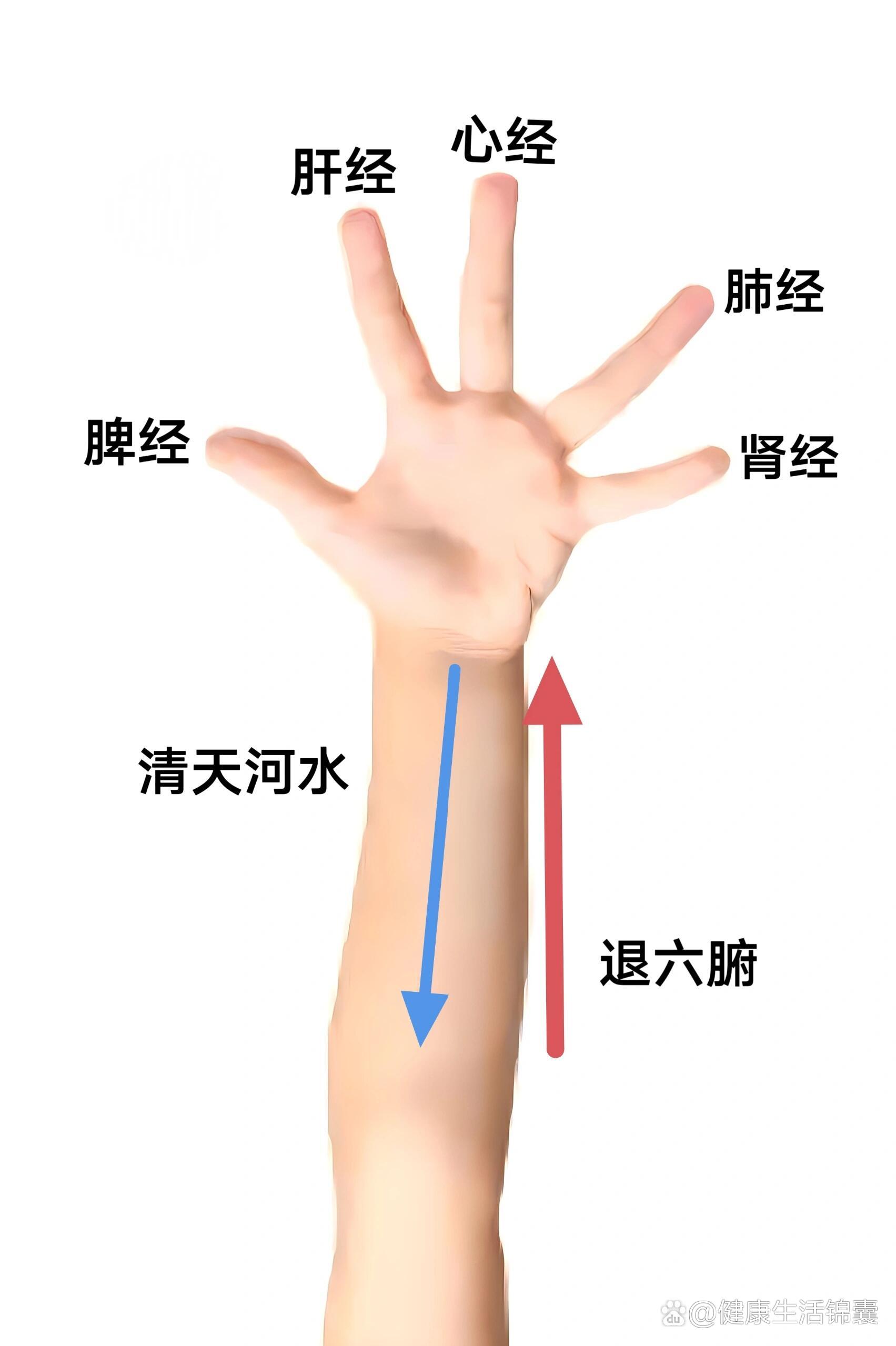 手上肝经图片图片