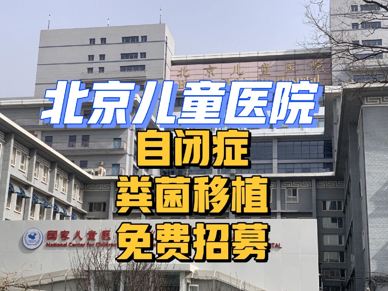 关于北京儿童医院、协助就诊，就诊引导黄牛跑腿号贩子挂号，所有三甲医院都可办理的信息