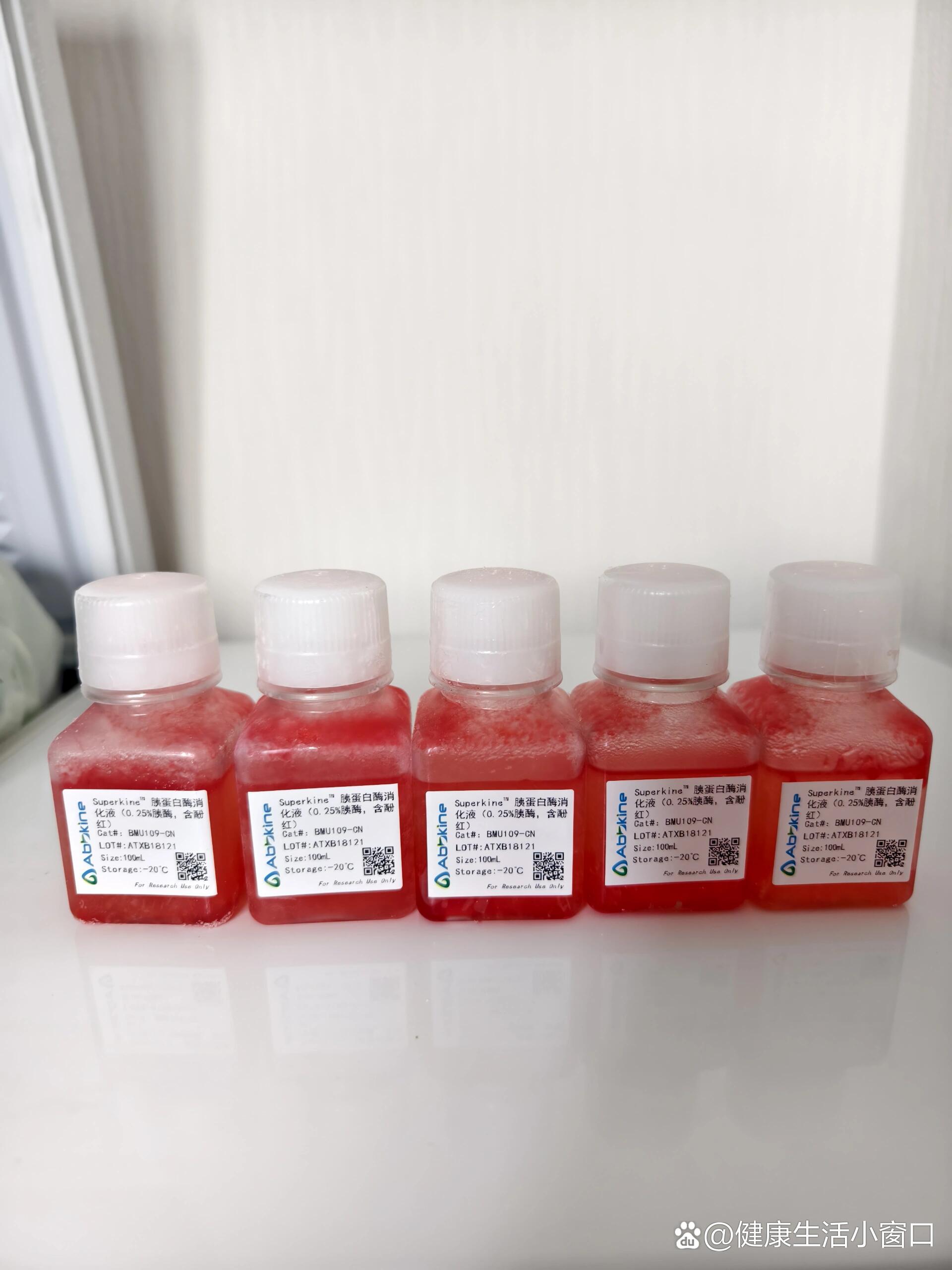 胰蛋白酶消化液(0.25%胰酶,含酚红)