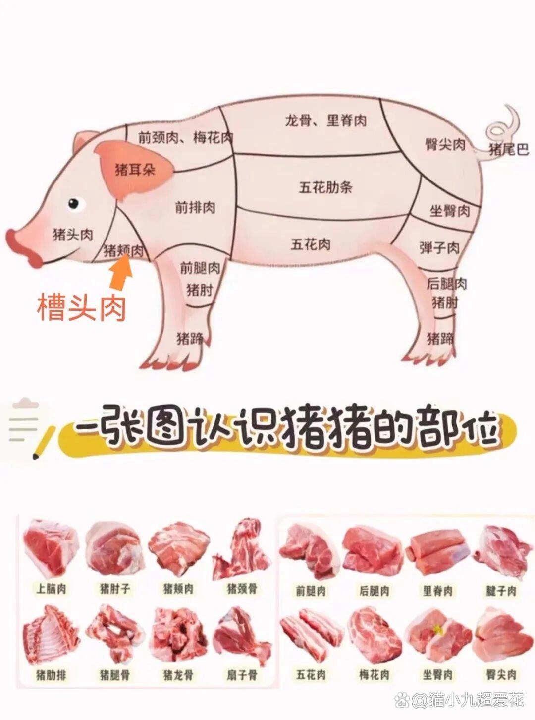 猪头淋巴肉图片图片