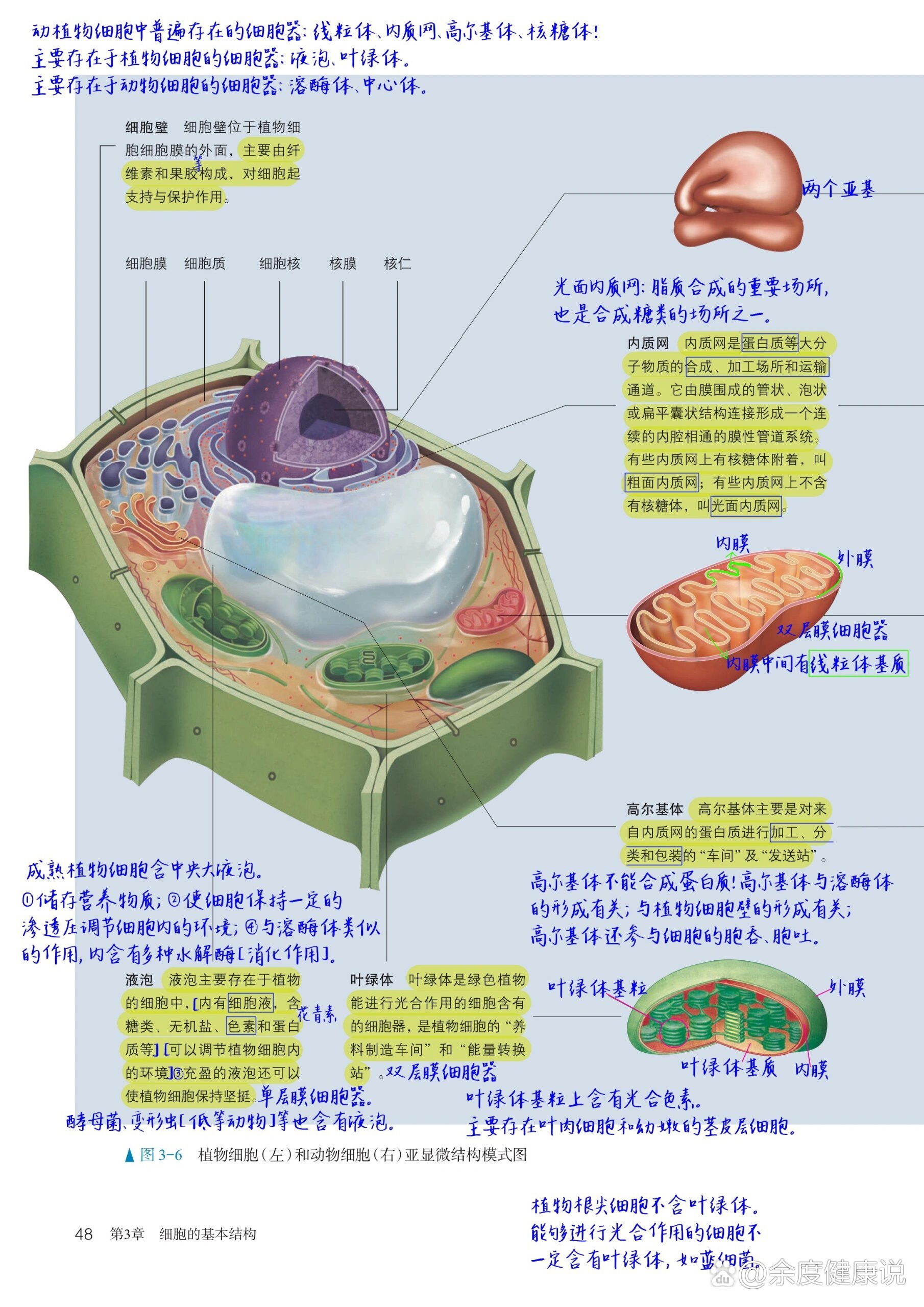  p>高中生物笔记|动植物细胞模型 br>动物细胞,植物细胞细胞器 /p>