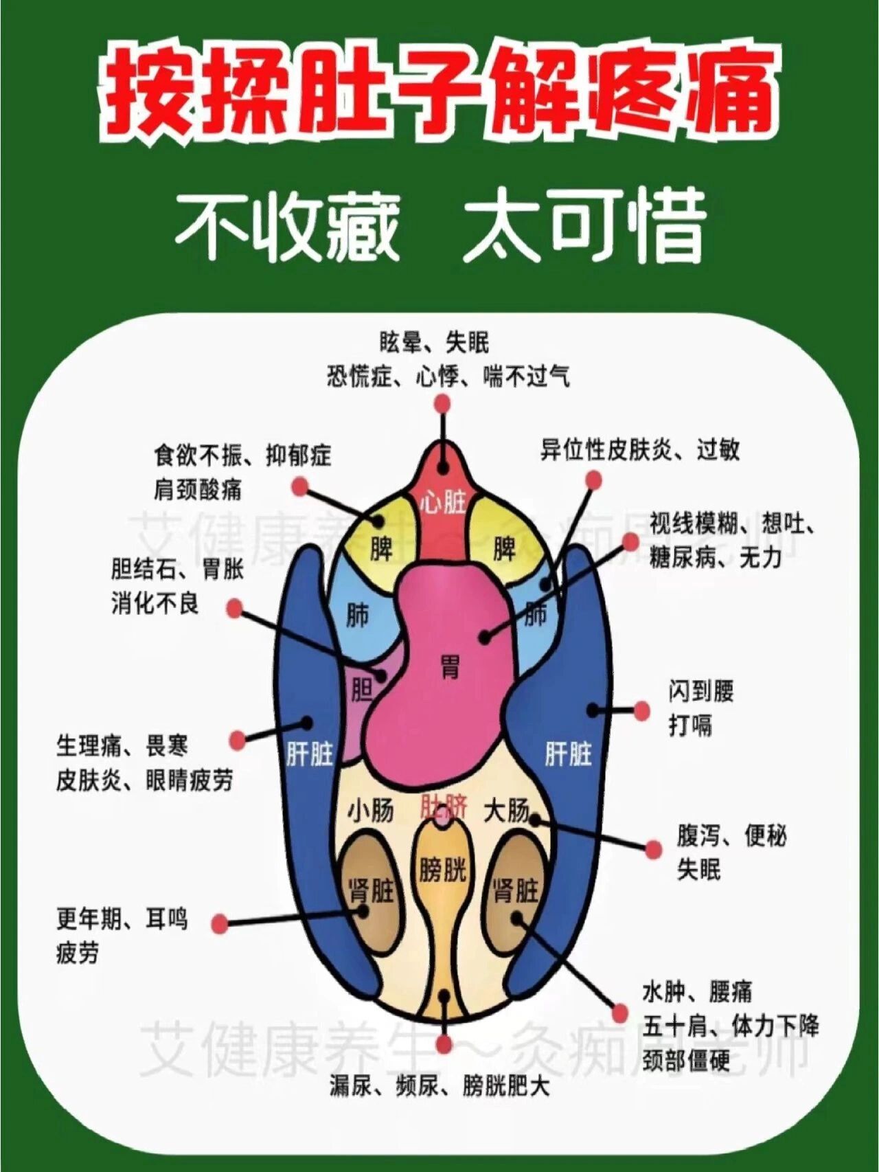 肚子反射区图图片