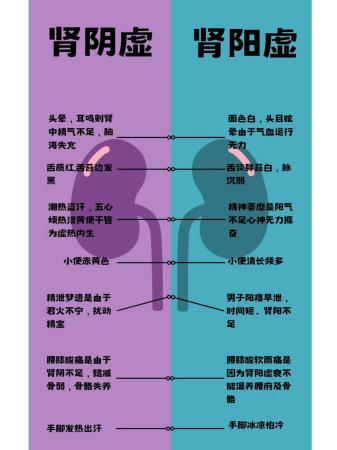 七种导致肾虚的原因，你知道吗？