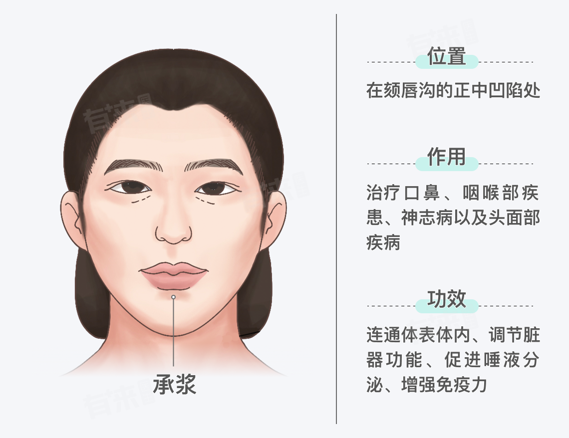 承浆的位置及其作用和功效