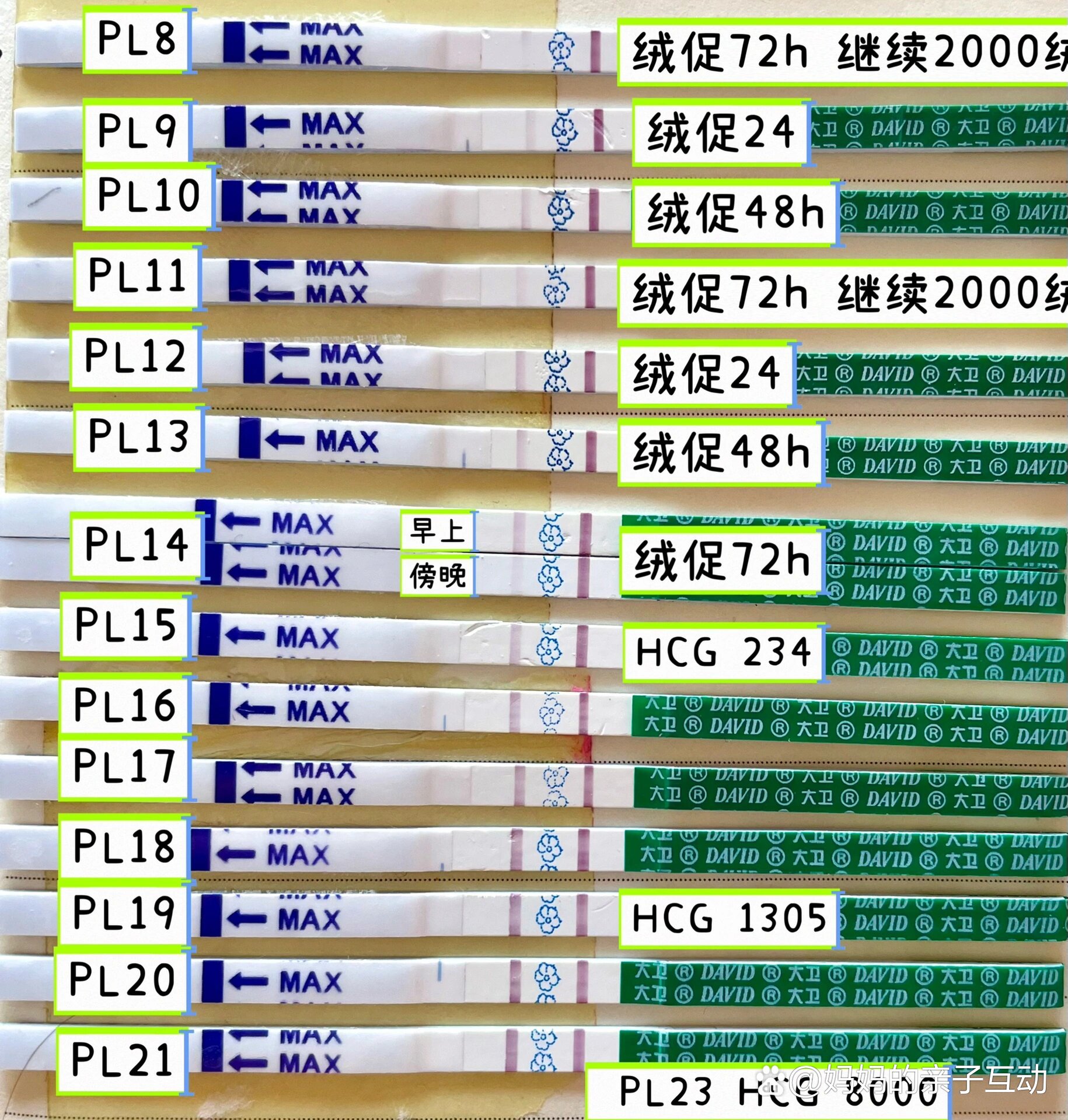 怎么看孕试纸图片