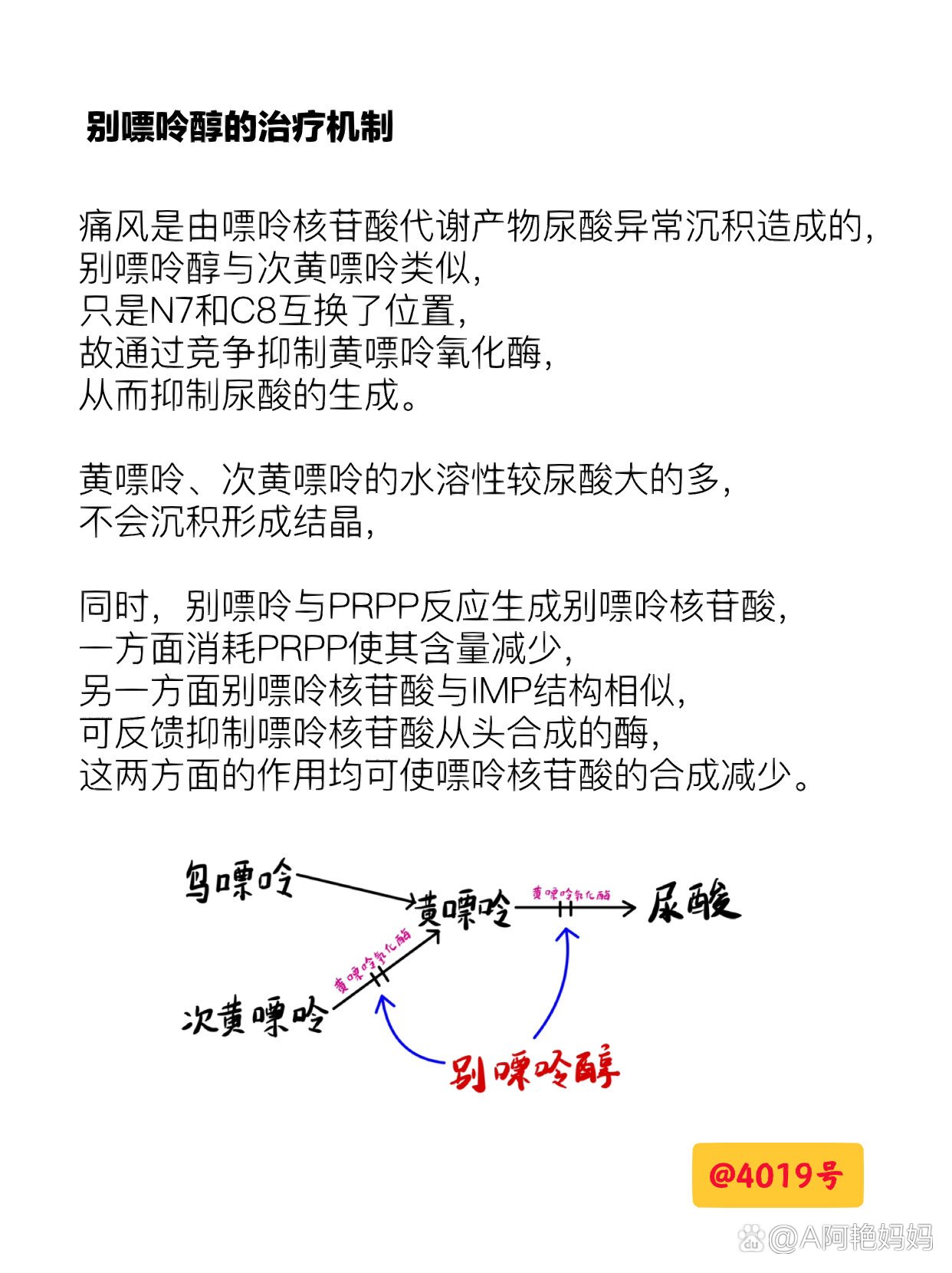 别嘌醇作用机制图片