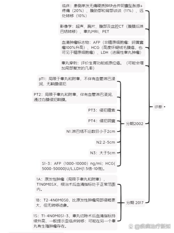 睾丸癌自查图片