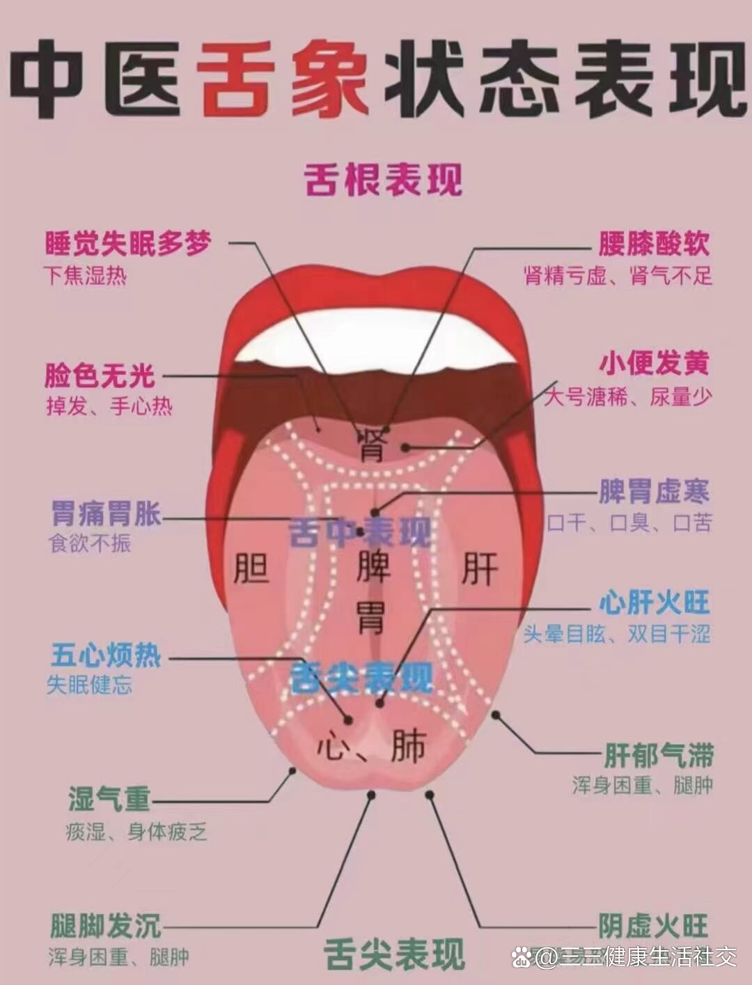 胃寒和胃热的舌苔图图片