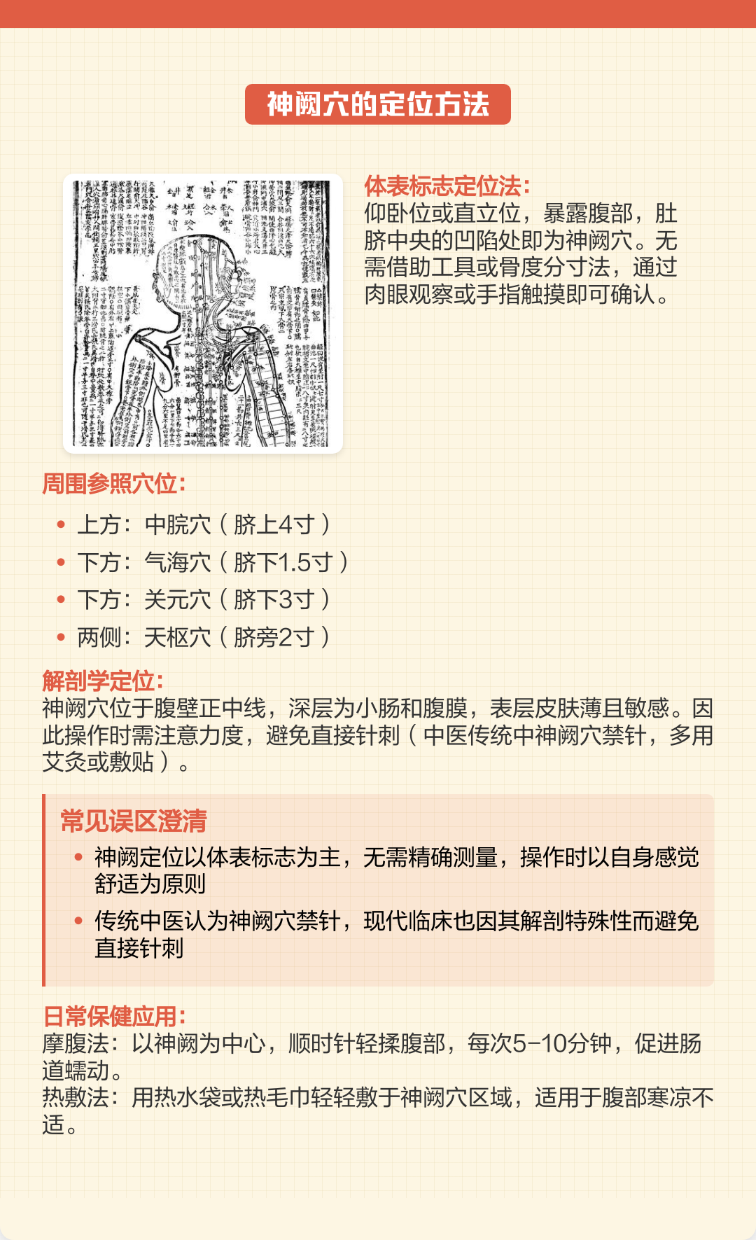 神阙的准确位置图 | 百度健康·医学科普