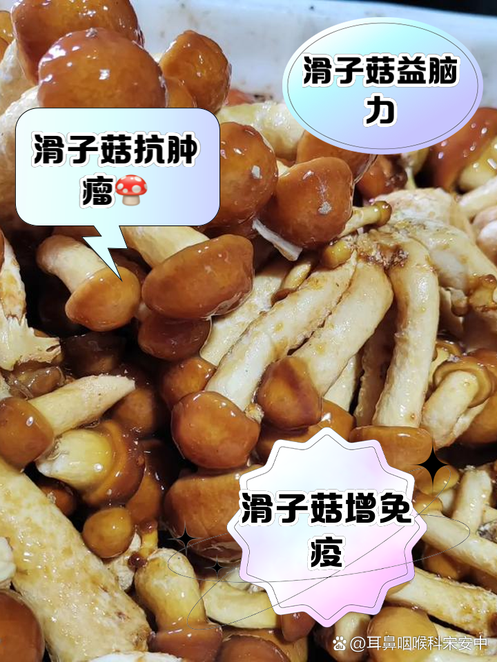 滑子菇的功效与作用