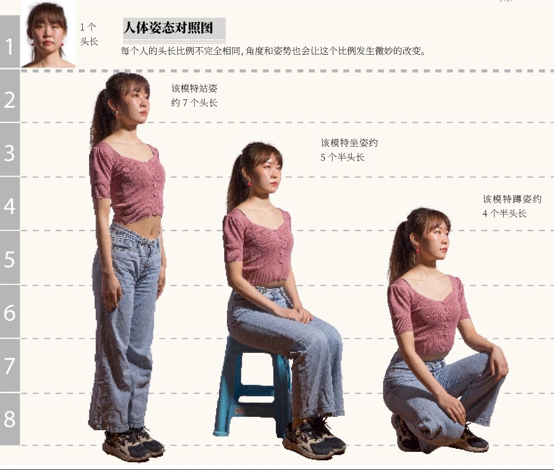 几张图真正弄懂人体比例!